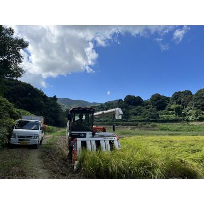 ふるさと納税 石岡市 【令和7年産】獅子米 ミルキークイーン 玄米 10kg |  | 01