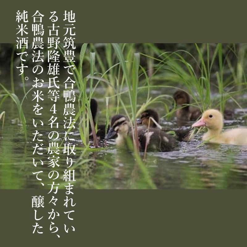 【創業150年】瑞穂菊酒造 純米酒セット_イメージ2