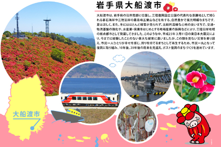 貝ナイフ 1本 ステンレス