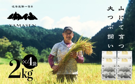 新米先行予約【2026年産米】（2026年10月中旬頃から順次発送）2kg×4袋（8kg）すがたらいす 山仙 (いのちの壱)  8キロ 下呂市金山産 令和8年産 お米 精米 米 いのちのいち やません