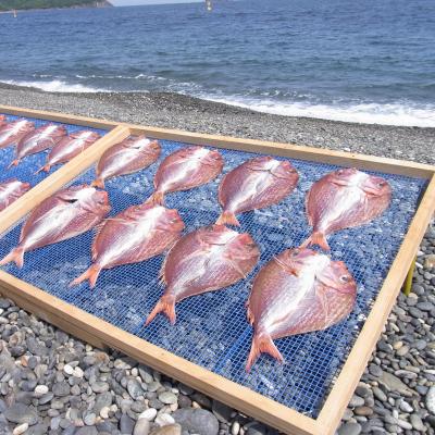 ふるさと納税 熊野市 海の恵み　干物詰め合わせD(3回発送) |  | 01