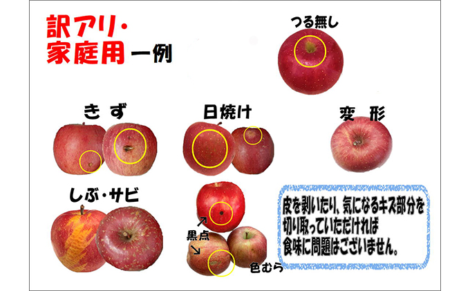 【クール便】4月発送 白熊 訳あり家庭用 サンふじ 約5kg 糖度13度【弘前市産・青森りんご・CA貯蔵】