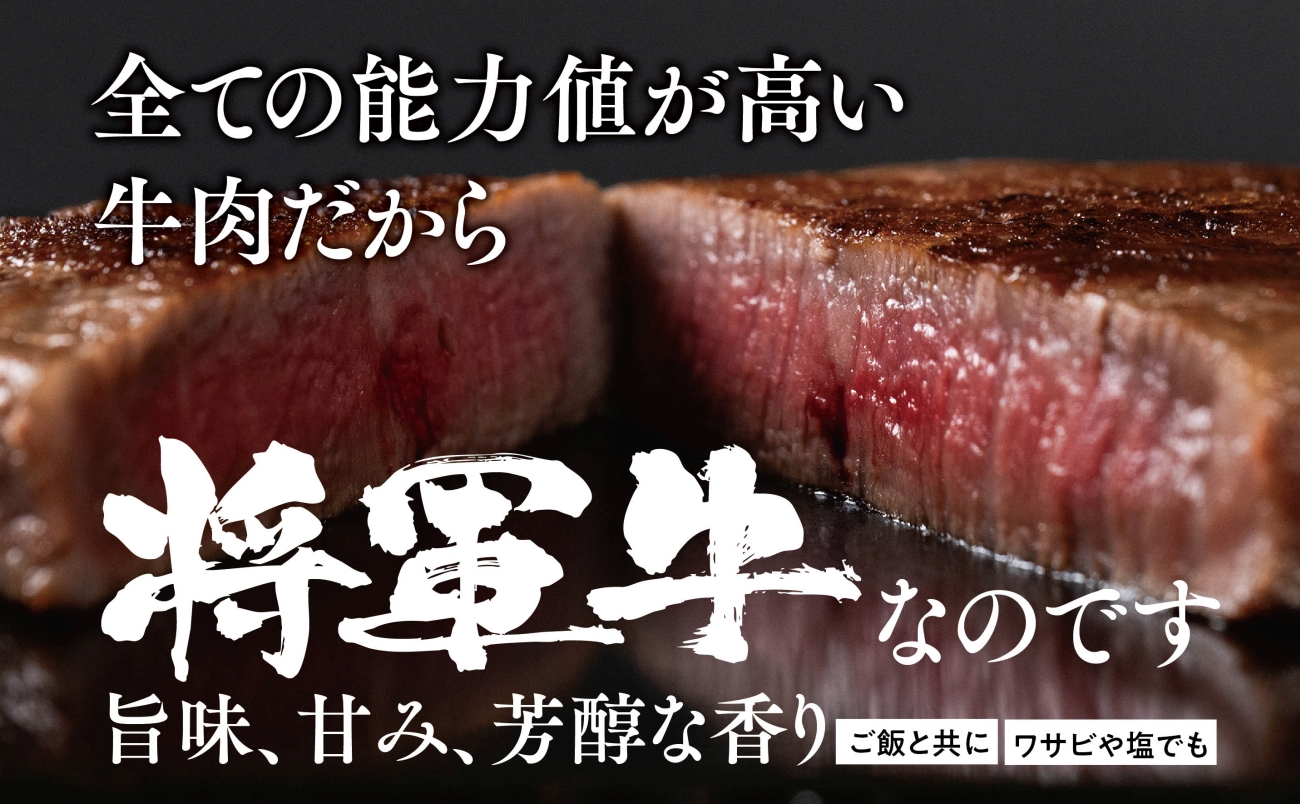 【将軍牛】特選ヒレステーキ 300g【配送不可地域：離島・北海道・沖縄県】【1653413】