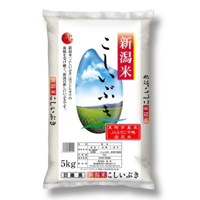 ふるさと納税 見附市 【毎月定期便】【3か月定期便】新潟県産 こしいぶき 5kg (精米)全3回