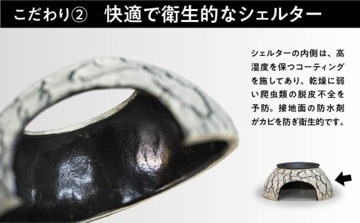 トカゲの家 ウェットシェルター 水色 爬虫類 | ペット トカゲ とかげ ペット用品 爬虫類用 シェルター 隠れ家 飼育用品 家 カビ抑制 観察 陶器 おしゃれ おうち デザイン 飼育 黒地 レオパー