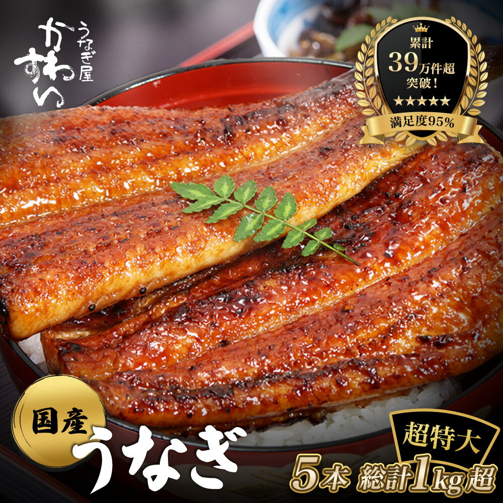 【ふるさと納税】【楽天うなぎ部門13年連続第1位！】 超特大 国産 うなぎ 鰻 蒲焼き 5本セット 合計1kg〈 うなぎ屋 かわすい 〉 送料無料 レビュー 高評価 人気 ボリューム満点 贈答用 お歳暮 御歳暮 土用丑の日 ギフト 父の日 和歌山特産品 和歌山県 有田市 （A489-1）