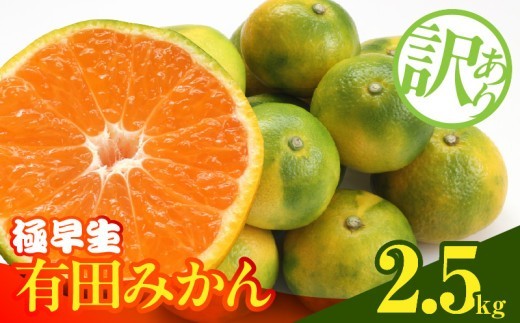 
                  訳あり みかん 極早生 箱込 2.5kg ( 内容量 2.3kg ) サイズミックス 有田みかん 和歌山県産_MK1085
                