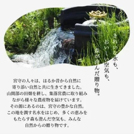 遠野どぶろく 氷結 生 どぶろく 岩手県遠野市から / 冷凍 発送 宮守川上流生産組合【配送不可地域：離島】【1634924】