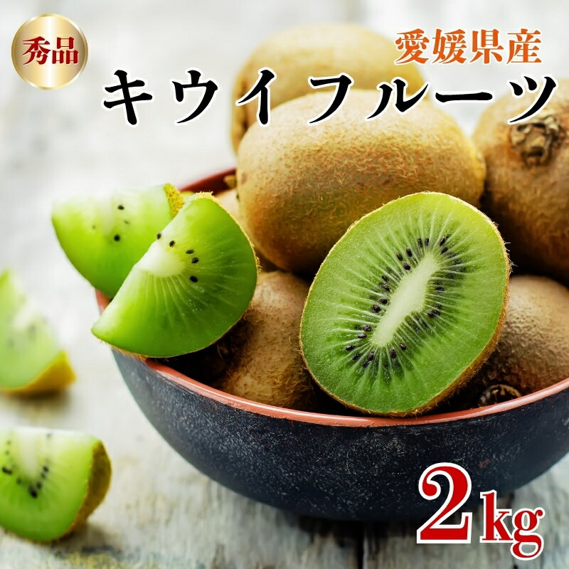 【ふるさと納税】キウイフルーツ 2kg 秀品 【糖度14度～16度】 人気 数量限定 キウイ 愛媛 【2024年11月以降発送】｜B152