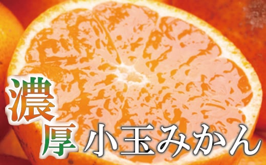 
家庭用　小玉な有田みかん2.5kg+75g（傷み補償分）【わけあり・訳あり】【光センサー選果】＜11月上旬より順次発送予定＞【ikd153A】
