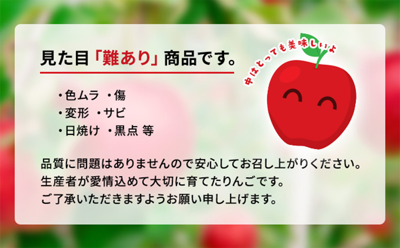 先行予約【1月発送】盛岡市産 田村ふぁーむ 家庭用 完熟 サンふじ りんご 約5kg（16～20玉）