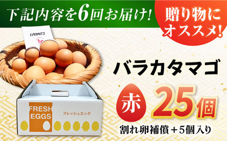 【6回定期便】【箱入り】バラカタマゴ 25個入 M-Lサイズ 卵 玉子 たまご 国産 五島市 / 五島列島大石養鶏場[PFQ058]  玉子 タマゴ 鶏卵 希少 五島列島