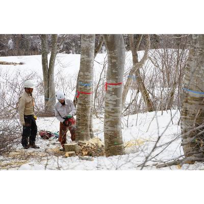 ふるさと納税 小千谷市 【雪国のブナ使用】ストーリオ タンザク ランプ ツイスト型【曲げ木のテーブルランプ・USB充電式】 |  | 03