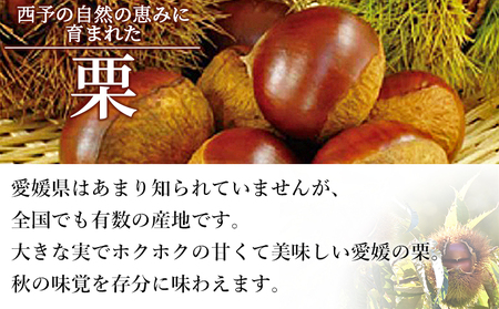 ＜完熟栗 約1kg（2Lまたは3Lサイズ）愛媛県西予市産＞ クリ くり 果物 フルーツ マロン モンブラン 栗ご飯 栗きんとん 栗の甘露煮 特産品 国産 秋の味覚 食べて応援 宇都宮物産 愛媛県 西予