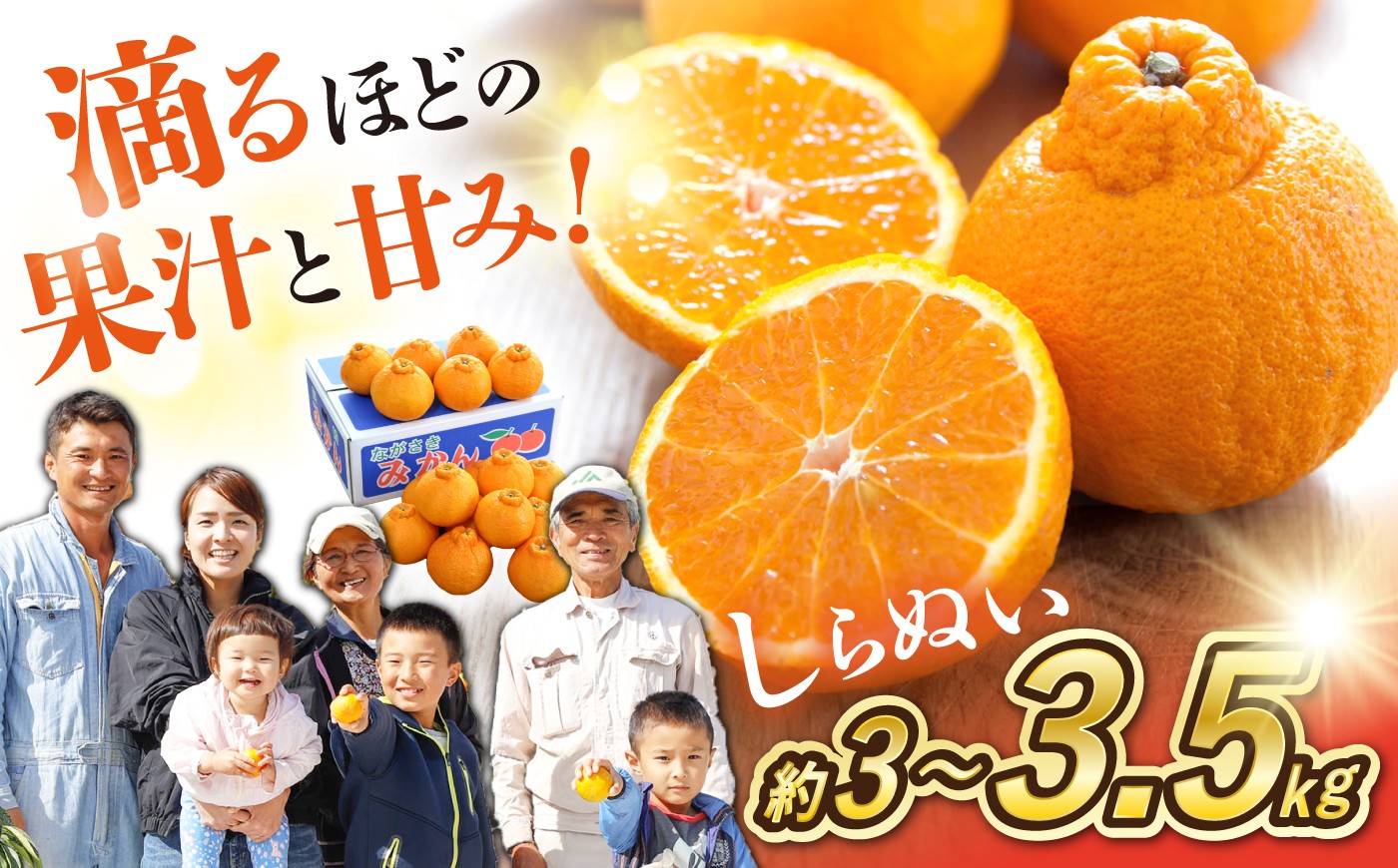 
                  【2027年3月より順次発送予定：先行予約】 みかん 不知火 （ デコポン と同品種） 約3～3.5kg みかん mikan ＜川添みかん園＞ [CCT009] 長崎 西海 みかん ミカン mikan でこぽん dekopon 不知火 デコポン 贈答 ギフト お取り寄せみかん 不知火 甘い 果物 贈答みかん mikan 高糖度 くだもの みかん
                
