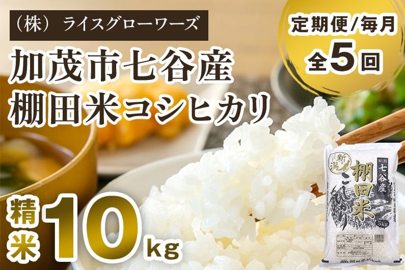 
                  【令和7年産】【定期便5ヶ月毎月お届け】七谷産 棚田米 コシヒカリ 精米 10kg（5kg×2）《順次出荷》白米 （株）ライスグローワーズ 新潟県 加茂市産 白米 米 お米 定期便
                