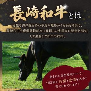 訳あり！【A4～A5】長崎和牛切り落とし1.5kg(500g×3p)【B5-078】牛肉 おすすめ 長崎和牛 バーベキュー 焼肉 切り落とし 冷凍 国産 送料無料 赤身