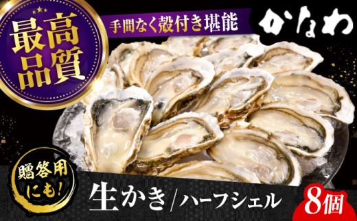 【生牡蠣】かなわの生牡蠣 ハーフシェル 8個入り 江田島市／株式会社かなわ [XBP009]｜生牡蠣 牡蠣 生食 殻付き 殻付 殻 かき カキ 生牡蠣 広島牡蠣 オイスター ハーフシェル 牡蠣グラタン 魚介類 魚介 貝類 海鮮 広島県産 国産 産地直送 贈答 ギフト 特産品