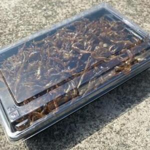 魚屋 おかみ 手作り いかなご くぎ煮 魚 イカナゴ いかなごのくぎ煮 くぎ煮 佃煮 手作り ご飯のお供 食品 小魚 魚屋 カルシウム ふるさと納税【015D-015】