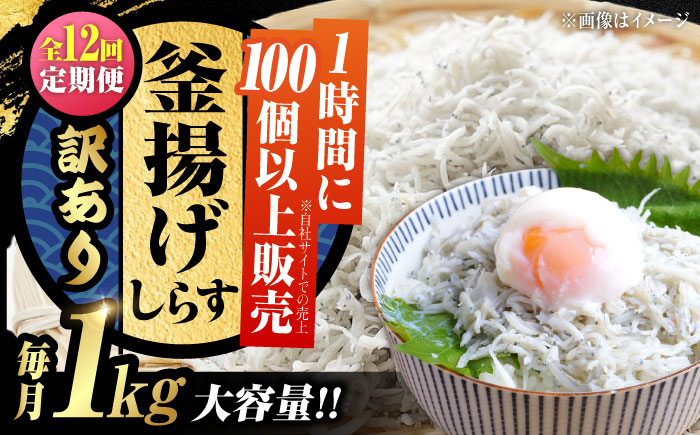 【全12回定期便】【訳あり】しらす 冷凍 シラス 干し 釜揚げ鮮度抜群＆水分率80％!ふわふわ釜揚げしらす 1kg （業務用） 冷凍 シラス 鮮魚 ギフト 海鮮丼 広島県 江田島/三島水産株式会社 [