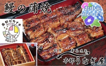 【お中元】本部うなぎ屋　国産鰻の蒲焼＜3-8＞