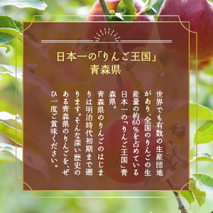 【2025年10月中旬発送】 【特選】りんご 5kg 紅玉 青森