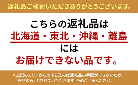 淡路島産活赤ナマコ1kg 兵庫県 洲本市 淡路島