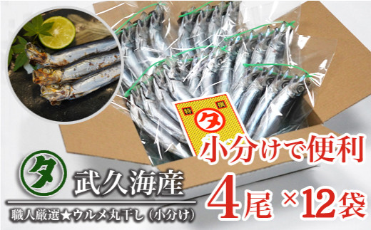 
職人厳選 ウルメ丸干し小分け（4尾×12袋）鰯 いわし おつまみ 珍味 グルメ 魚 海鮮 ギフト 酒 ビール 日本酒 焼酎 贈り物 国産 愛媛 愛南町 武久海産
