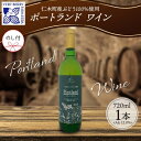 【ふるさと納税】無地熨斗 ポートランド ブドウ ワイン 720ml 1本 熨斗付き葡萄 ぶどう 果実 果実酒 お酒 アルコール 白ワイン 辛口 お取り寄せ ギフト gift ボトル 紙箱 御中元 お中元 熨斗 のし 自然農園　【 果実酒 】