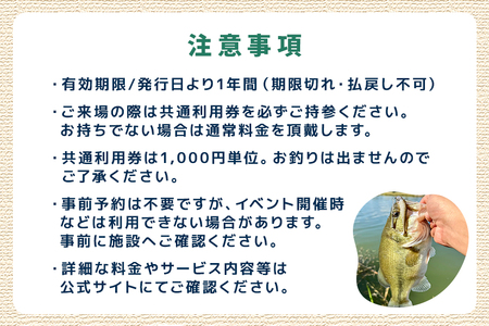 潮来マリーナ 施設内共通利用券 6,000円分 (1,000円×6枚) へらブナ釣り ブラックバス釣り ニジマス釣り 渚食堂 バスボート駐艇場利用可能 釣り堀体験 レジャー チケット 茨城県 潮来市 
