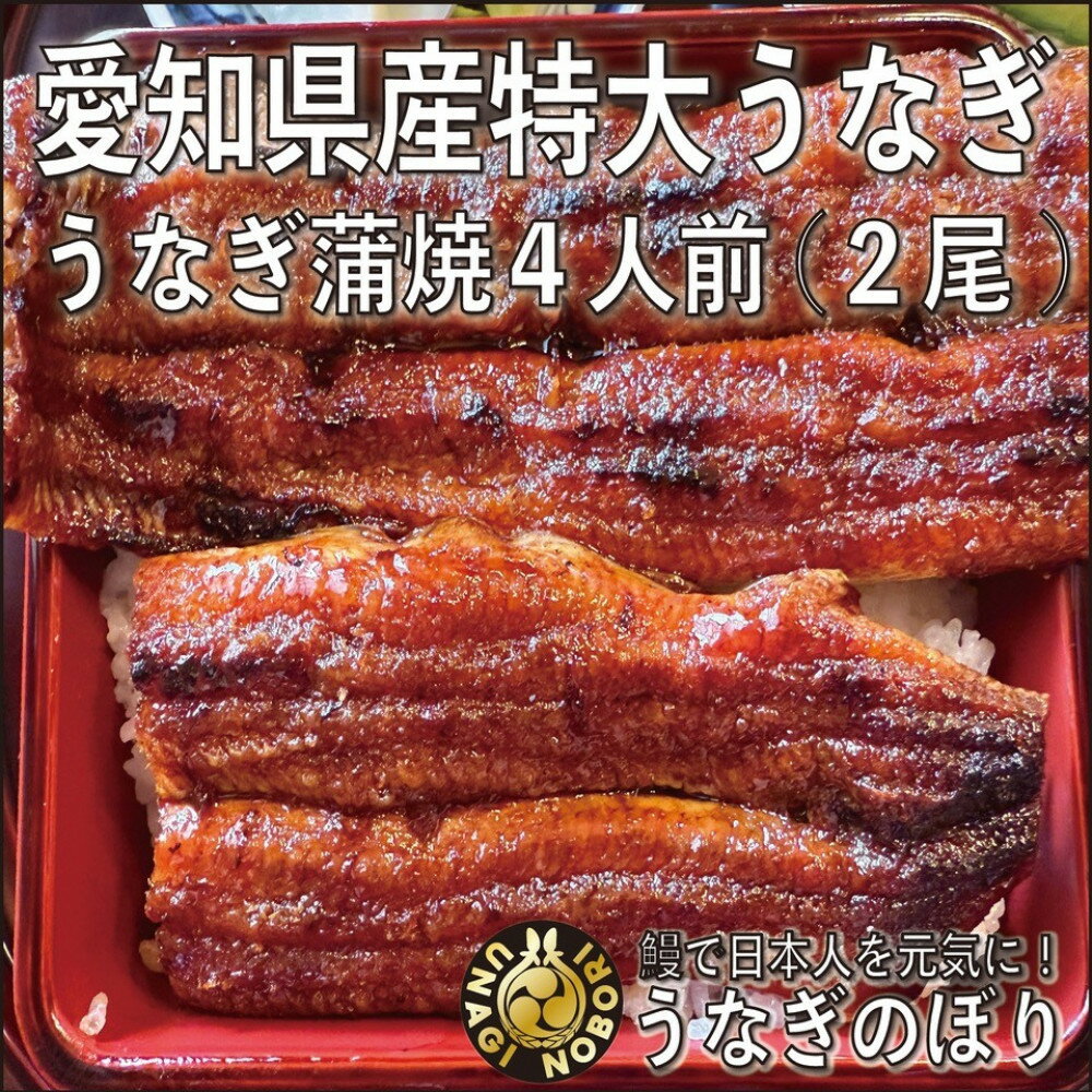 【ふるさと納税】【愛知県産】特大うなぎの蒲焼き