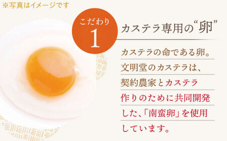 【全6回定期便】「こだわりの逸品」長崎 カステラ [1.2号] 計12本（0.6号10切入×2本入/回）【文明堂総本店】[QAU021]