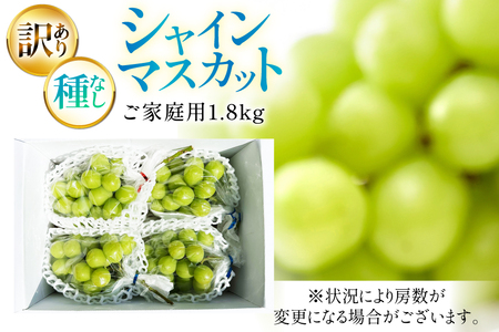 【期間限定発送】 シャインマスカット 訳あり 3房 1.8kg [Yamagenフルーツガーデンレコルト 山形県 高畠町 tk06ayt380004] ご家庭用 ぶどう ブドウ 葡萄 フルーツ 果物 