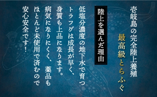 【通常配送】とらふぐ 刺身＆鍋（3～4人前） 《壱岐市》【なかはら】 [JDT005] ふぐ フグ 河豚 とらふぐ トラフグ 刺身 刺し身 ふぐ刺し フグ刺し てっさ ふぐ鍋 フグ鍋 魚介 鮮魚 50