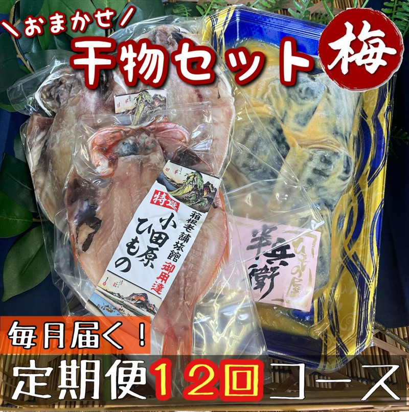 【毎月定期便12回】厳選！小田原の旬の干物セット 梅【 まぐろや 神奈川県小田原市 】 142069_DQ282