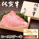 【ふるさと納税】【6カ月定期便】佐賀牛 ロースステーキ(約200g×3枚)【JA 佐賀牛 佐賀県産 牛肉 ロース ステーキ 上質 濃厚 サシ やわらか お中元 お歳暮 贈り物 化粧箱付】 KI4-R012304