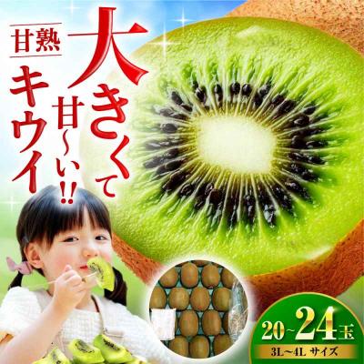 ふるさと納税 大洲市 【先行受付】【1月上旬より順次発送】甘熟キウイ 3L-4Lサイズ 20-24玉入[AGBN001]