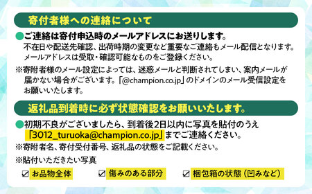 【令和8年産先行予約】鶴岡市産 ラ・フランス（洋梨） 約3kg（8～12玉）　K-822　泉屋商店