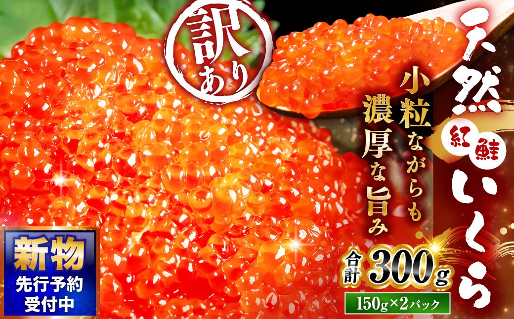 
                  【選べる配送月】 新物 天然紅鮭いくら 醤油漬け 300g （ 150g × 2パック ） いくら イクラ 天然紅鮭 紅鮭 鮭 さけ サケ シャケ 魚卵 海鮮 海鮮丼 いくら丼 イクラ丼 ご飯のお供 おかず おつまみ 晩酌 酒の肴 冷凍
                