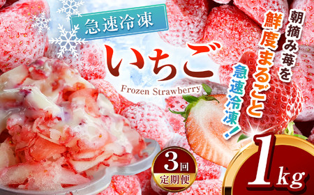 【定期便3回】冷凍いちご とちあいか 1kg カット済み 訳あり