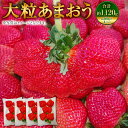 【ふるさと納税】大粒あまおう 約1000～1080g（約250～270g×4パック） 厳選 大粒 イチゴ いちご 苺 ストロベリー ベリー くだもの 果物 フルーツ 旬 国産 九州 福岡県 大刀洗町 送料無料 【2025年2月上旬～4月上旬発送予定】