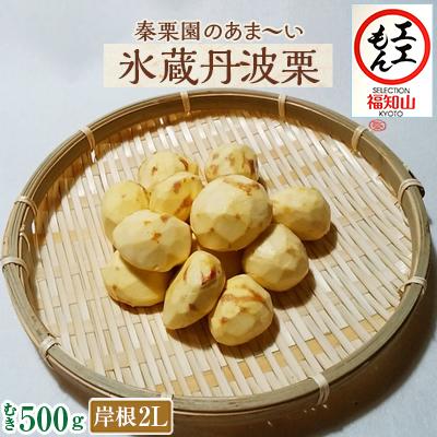 ふるさと納税 福知山市 秦栗園のあま〜い氷蔵丹波栗 岸根2L むき500g【熟成】大粒 11月下旬発送