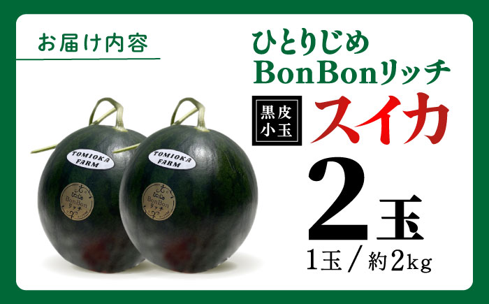 【先行予約】ひとりじめBonBonリッチ～黒皮小玉 スイカ 2玉～【とみおか農園】 [ZEM002]