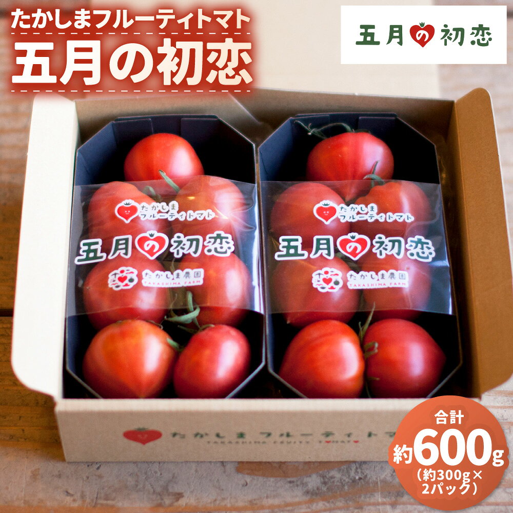 【ふるさと納税】たかしまフルーティトマト ｢五月の初恋｣ 【糖度9度以上】 約300gパック×2個 計約600g 化粧箱×1箱 フルーティートマト フルーツトマト トマト とまと 野菜 やさい 高糖度 サラダ 料理 常温 長崎県 長崎市 送料無料 【2026年3月下旬～5月下旬発送予定】