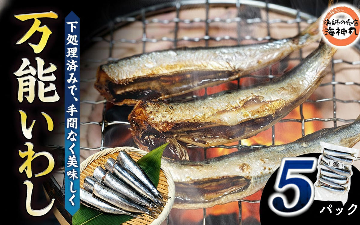 万能いわし 8匹 (約160g～180g) × 5袋 下処理済み