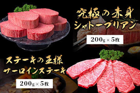 ＼極上プレミアム／ 佐賀牛プレミアム3点セット｜シャトーブリアン200g×5枚｜サーロインステーキ200g×5枚｜特選ローススライス500g×2ﾊﾟｯｸ ｜合計3000g｜A5 A4等級 黒毛和牛 贅