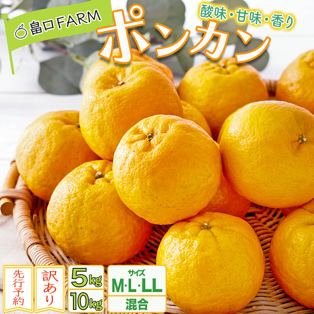 【ふるさと納税】＜選べるサイズ/容量＞先行予約 訳ありポンカン 5kg/10kg 国産 東洋町産 訳アリ オレンジ 果物 フルーツ 蜜柑 ミカン 甘い 酸味 ジューシー 果肉 高知県 四国 お取り寄せ 家庭用 自宅用 送料無料