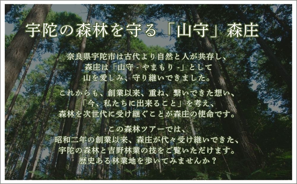 100年生の 森林ツアー ＆ 伝統木工体験 inうだ プレミアム／ 体験 関西 子供 親子 チケット 森林浴 ハイキング 木工体験 伝統工芸 林業 夏休み 宿題 MORITO 森庄 森庄銘木産業 奈良県 宇陀市 ふるさと納税