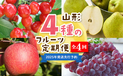 【2025年度 先行予約】4種のフルーツ定期便 全4回 さくらんぼ ぶどう 梨 りんご 果物 フルーツ FSY-2062