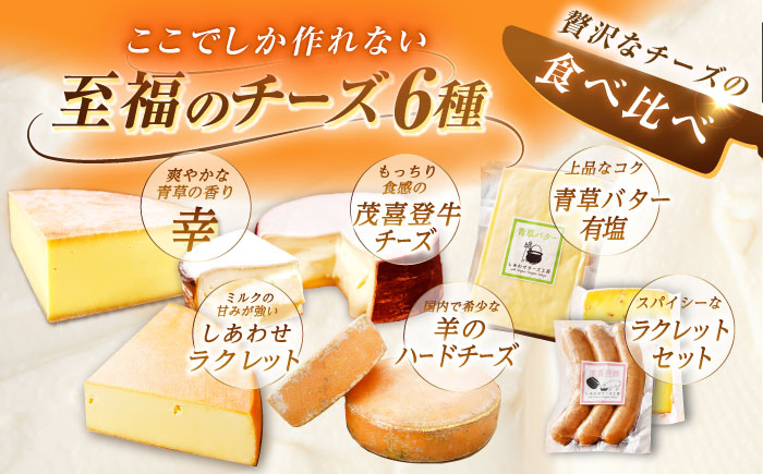 チーズ ラクレット ラクレットチーズ 生乳 ミルク 乳製品 北海道